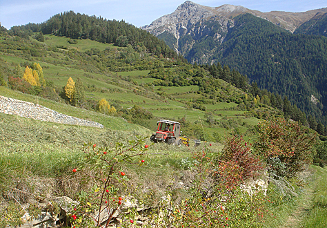 Naturschutz in der Landwirtschaft