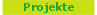      Projekte     